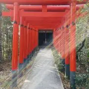 ゆぴまる。の画像
