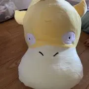 コダック大好きの画像