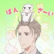 RIAN線維筋痛症の画像