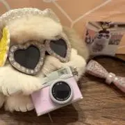ぱちまるの画像