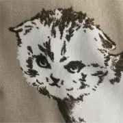 adoの画像