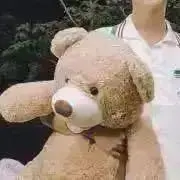 ちょんの画像