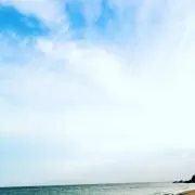 yu-ri