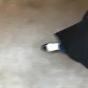 かなの画像