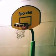 がわたん