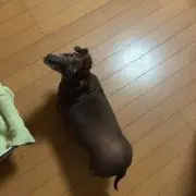 ゆき