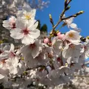 むぎこ★の画像