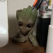 グルートくんの画像