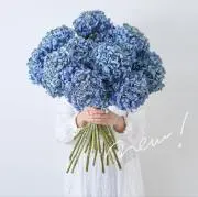 BlueBloom 土日発送不可の画像
