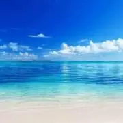 takenokoの画像
