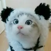 ちょび