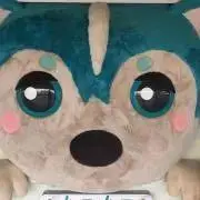 IRISの画像