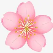 meechの画像