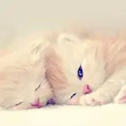 yummy