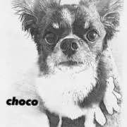 choco
