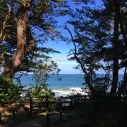 FK プロフ見てください♩