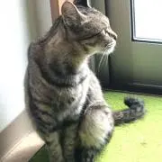 ゆちまる