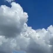 あゆみの画像