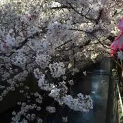 ふぇい