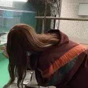 やんの画像