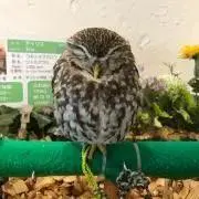 たくこれの画像