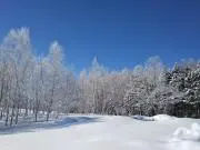 win