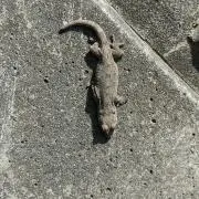 アコム