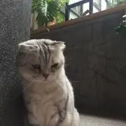 kaoriの画像