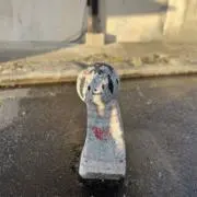 あざいの画像