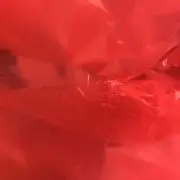 さくらの画像