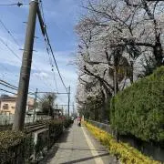 Fukoolの画像