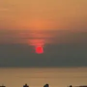 あきぼうの画像