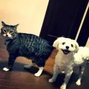 naaaの画像