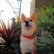 なっちママの画像