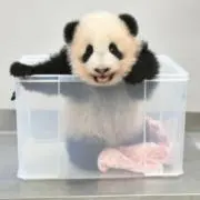 ふみ