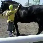 Image of こむぎ　評価12000 フォロー割あり