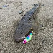 トキ