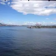 みきすけてぃ