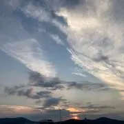 外の画像