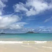 たこ