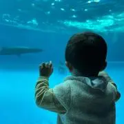 ichaaan24.の画像