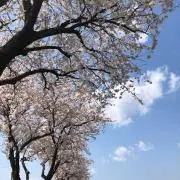花ママ   ☆プロフィール必読 ☆
