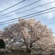 さちとの画像