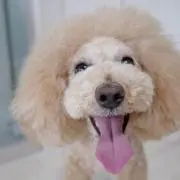 iamhappyの画像