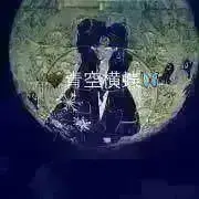 青空横蝶owo8｛プロフ確認希望の画像