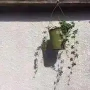 MOOの画像