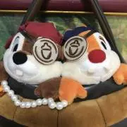 ともちゃんの画像
