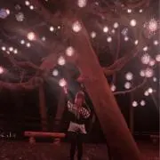 piyotamu.com♡