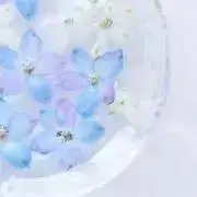 ぬぬの画像
