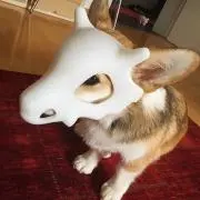 めろの画像